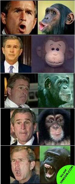 humour
